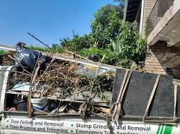 Best Demolition Debris Removal  in Swanton, OH